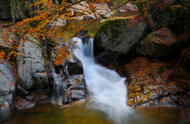 余先怀专栏｜秋染十八月潭