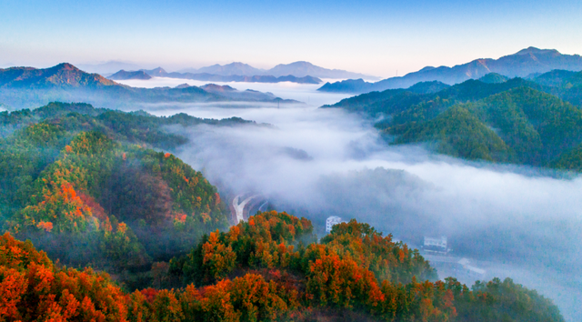 这里红叶进入“巅峰”，抓紧时间，真的会落！