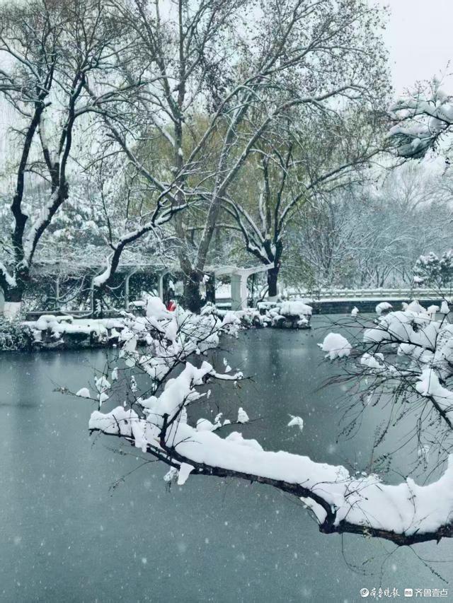 雪中泉城公园美不胜收