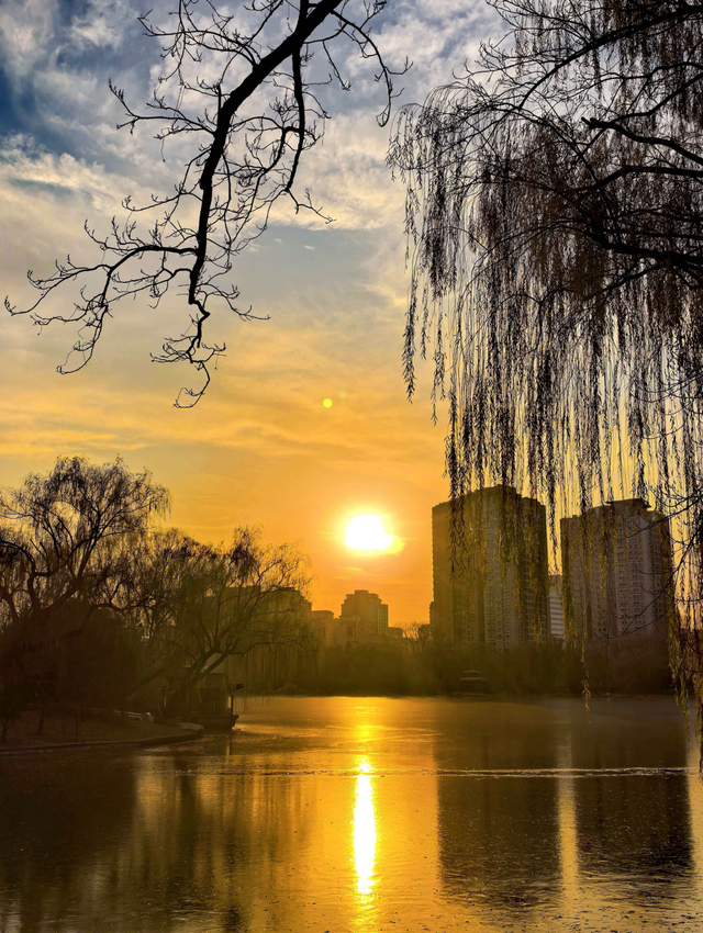 赴一场紫竹院的冬日之约，在夕阳里撞见满院温柔