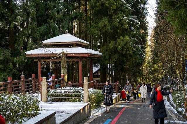 不上班，就上山！