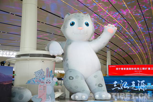 多图直击｜青海西宁曹家堡国际机场T3航站楼启用