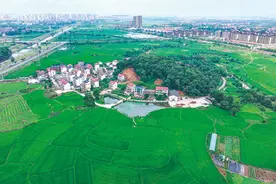 回望三千年前窑火，触摸江西“瓷路”历程——鹰潭月湖角山古陶窑址储存着江西由陶到瓷的“蜕变”密码图片