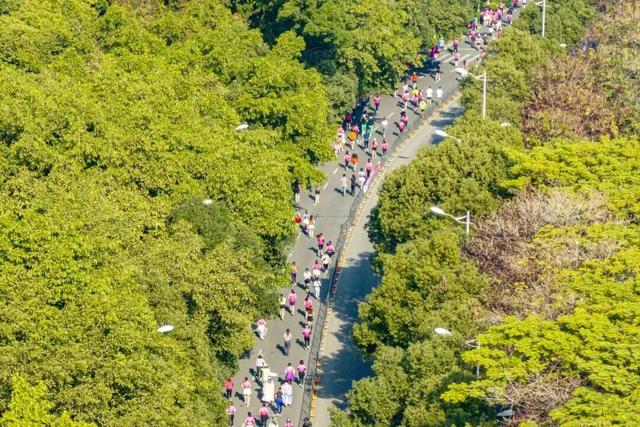 跑半马，游增城！这些线路带你畅游增城→