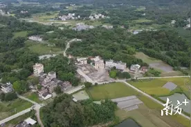 “小鱼苗”产值超600万，这个村有何秘诀？丨阳春探村行①图片
