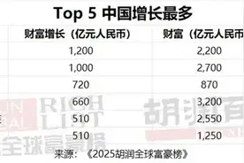 财富增长最快 雷军首次进入中国前十  2025胡润全球富豪榜发布图片
