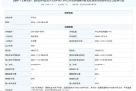 无人竞拍，中山首宗农村集体经营性建设用地出让结果公示图片