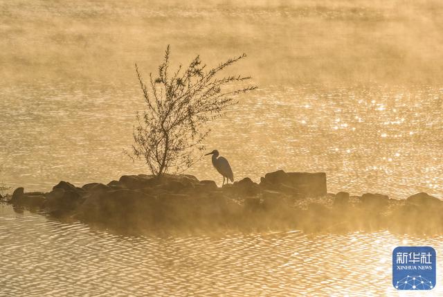 安徽黟县：冬日奇墅湖晨景如画