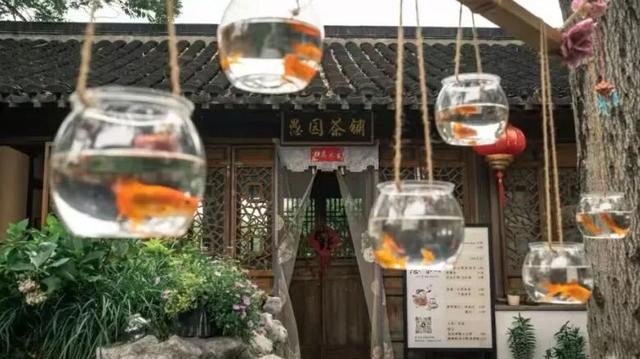 为什么来愚园一定要听讲解？