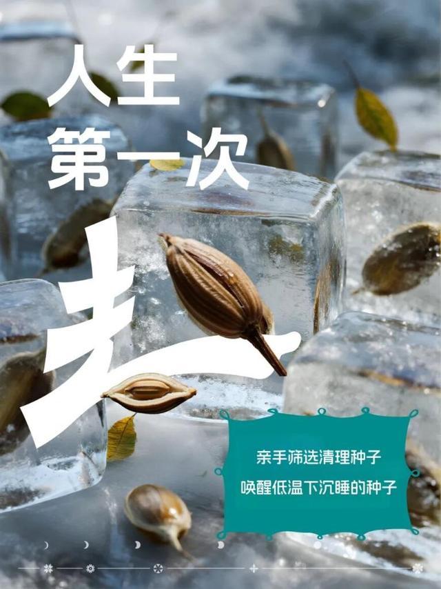 活动招募丨探秘自然！暑期研学三日营活动招募啦！