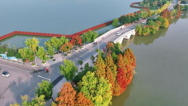 商视界｜柘城容湖初冬如画