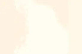 “少年儿童心向党 真情相伴护成长”2024年暑期儿童关爱活动丨“彩虹行动”—关爱留守儿童在行动（二）图片