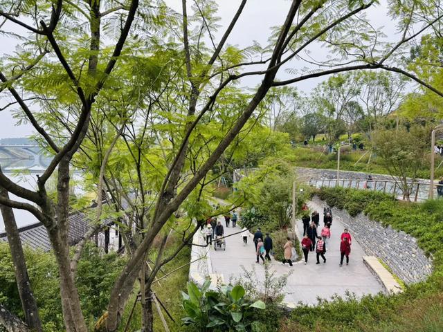 成都唯一“世界级”公园,以前门票120元,现在免费,唯一缺点就是远