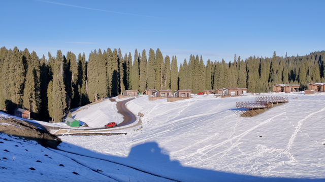 “大雪”无雪，能在雪地里撒野的大雪何时能看到？