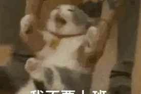 仪式感拉满！开工第一天的快乐，广东人都懂！图片