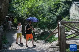 高温带火“避暑游”图片
