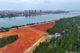 泰和：土地整理滩涂变良田图片