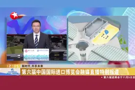 “黄皮火龙果”来了！厄瓜多尔麒麟果进博首秀图片