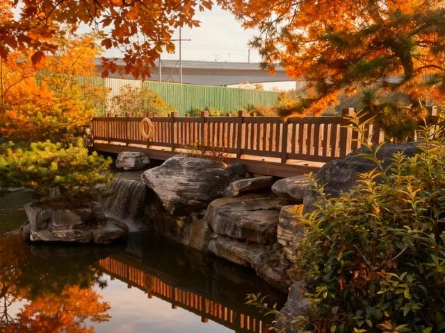 走进西安4大免费开放的宝藏公园