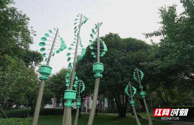 我住湘江边⑥丨橘洲零碳岛，总引“我辈复登临”