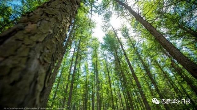 巴彦淖尔这座城，比你想象的更“宝藏”