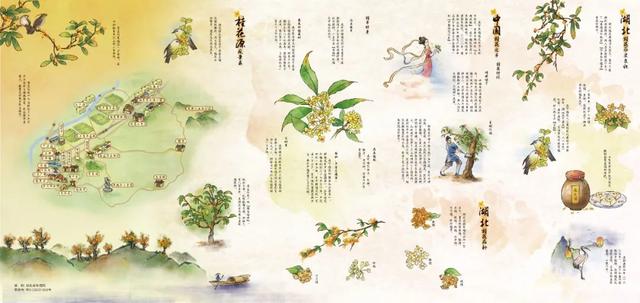 "桂花地图"上线！咸宁邀您共赴金秋寻香之约