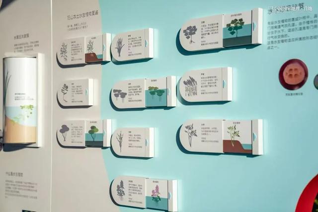 阳山自然驿站矩阵落成，全域科学体验线路启用