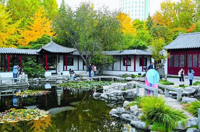 影像纪实 | 秋冬之交的石家庄，美得不像话！