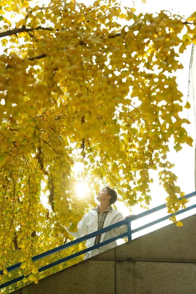 宜宾，含“金”量超高！