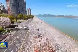 烂漫春光好 赏花正当时图片