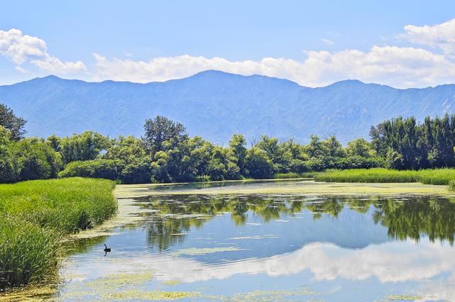 蓝天碧水！北京南沙河变身“治愈系”打卡地