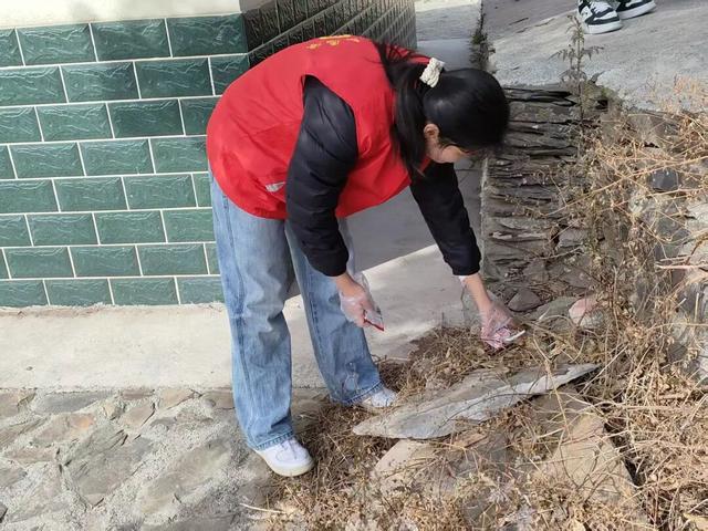 【青春护绿志愿行，环境焕新我先行】文县团委积极组织“返家乡”大学生参与环境卫生整治