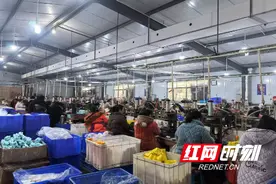 溆浦：就业帮扶“小工厂” 助力乡村振兴“大作为”图片