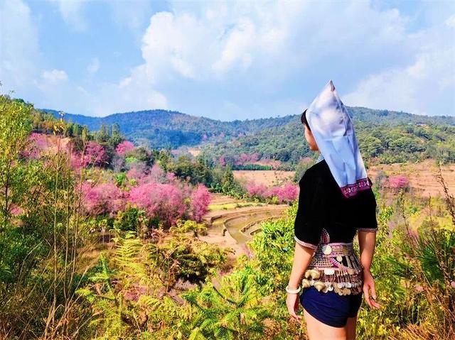 秋冬，来红河旅居吧！