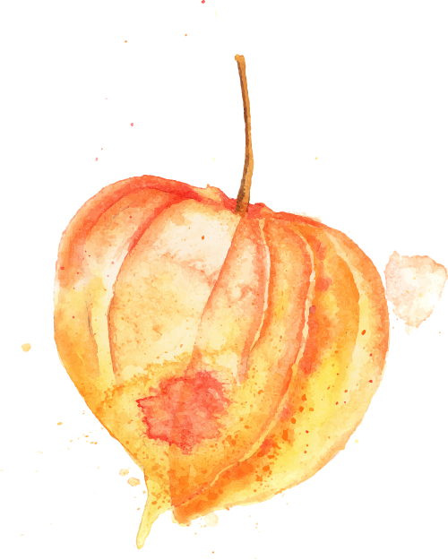 街头大量出现！常州人都已经捡上了