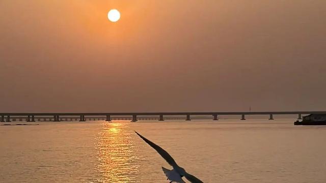 东大洋“海上穿越大桥”环游航线单日载客3155人！有人专程为它来青岛！