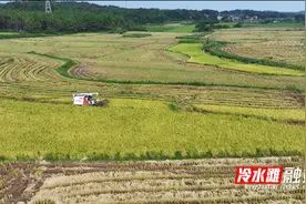 永州冷水滩：“订单农业”服务模式助力种植户降本增收图片