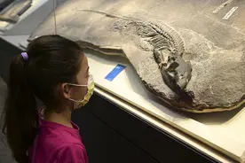 火山冬天触发生物大灭绝图片