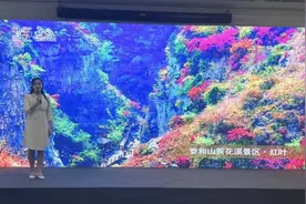 潍坊青州：文化研学旅游推介会开启文化研学盛宴图片