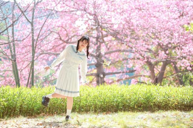 粉色花海，已开遍龙华