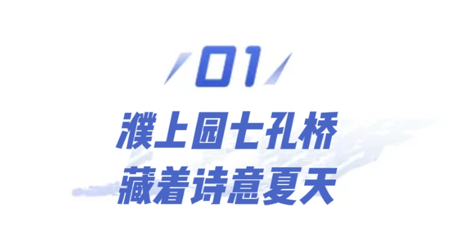 瞧～濮阳的“桥桥”