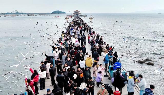 瞄准一年9000万“流量”，青岛推出400余商家“优惠联盟”