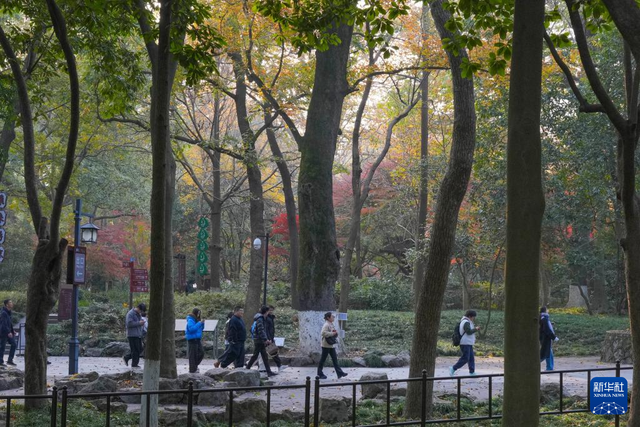 杭州：灵隐飞来峰景区免费开放
