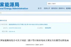 国家能源局：同意！图片