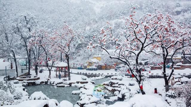 乘着高铁游威海 | 下一站，环翠！