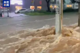 强降雨来袭 巴西最大城市圣保罗进入洪水警戒状态图片