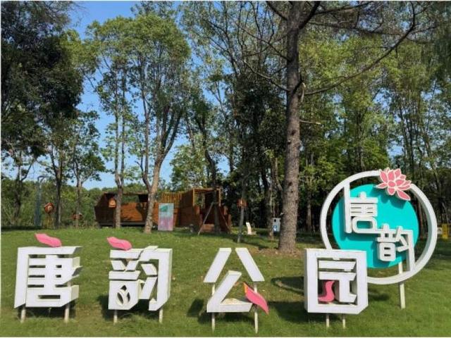 开园即出圈！新建横沔公园开放半个月，单日游客量最高近1万，魅力到底在哪儿