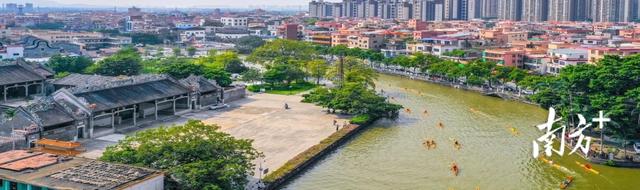 阅镇观｜乐从“祠堂+”，焕发人文经济新活力