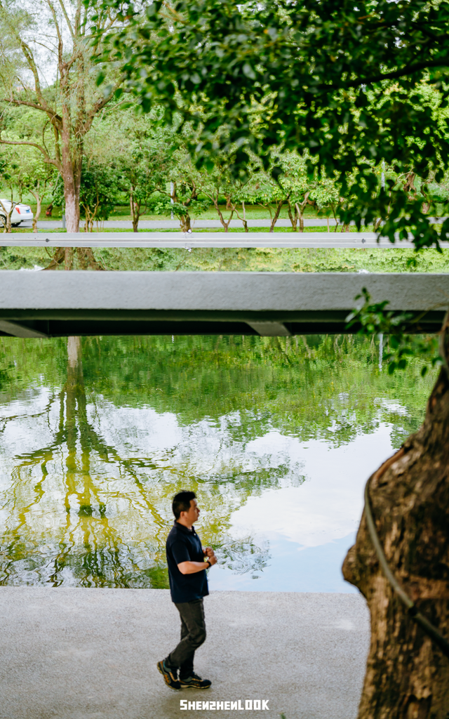 “看牛看海看夜景，深圳骑行路线精选”