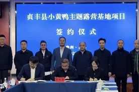 B.Duck小黄鸭签约贵州黔西南三岔河旅游景区，共筑主题露营新地标图片
